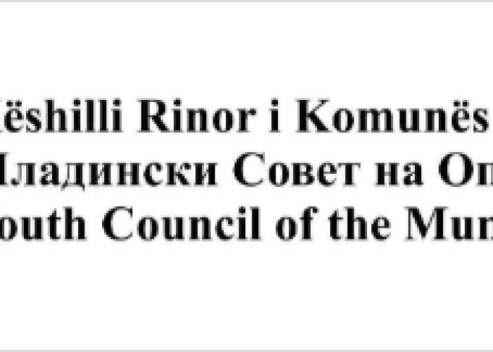 ЈАВЕН ПОВИК за избор на членови на Локалниот младински совет